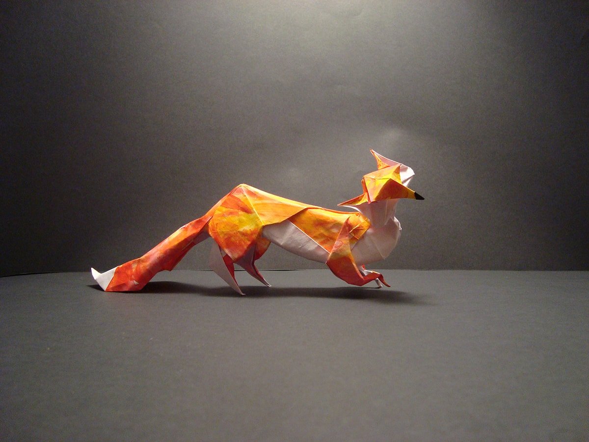 Fox by Hoang Tien Quyet