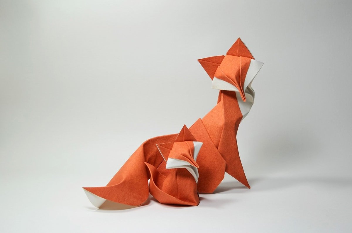 Foxes by Hoang Tien Quyet