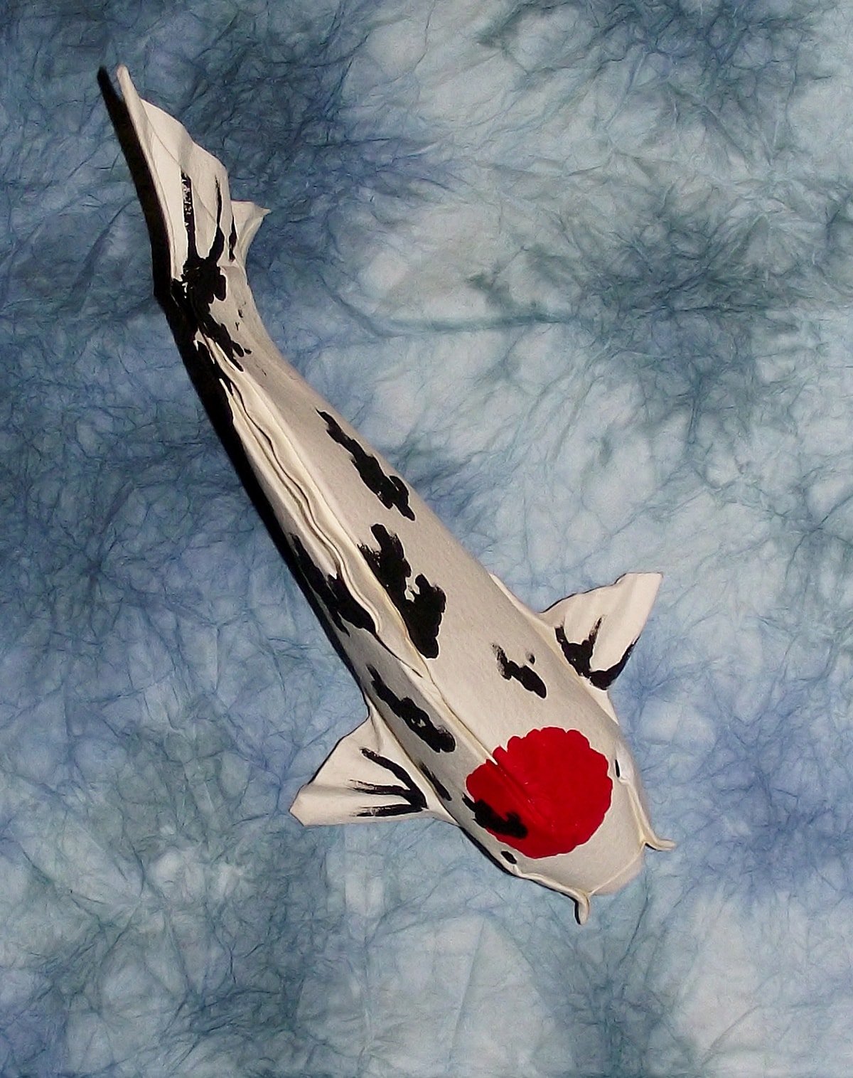Asian Koi by Edgar Williams