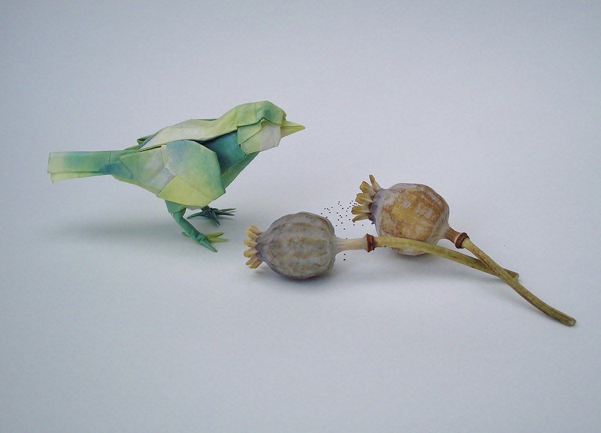 Little Bird by Satoshi Kamiya