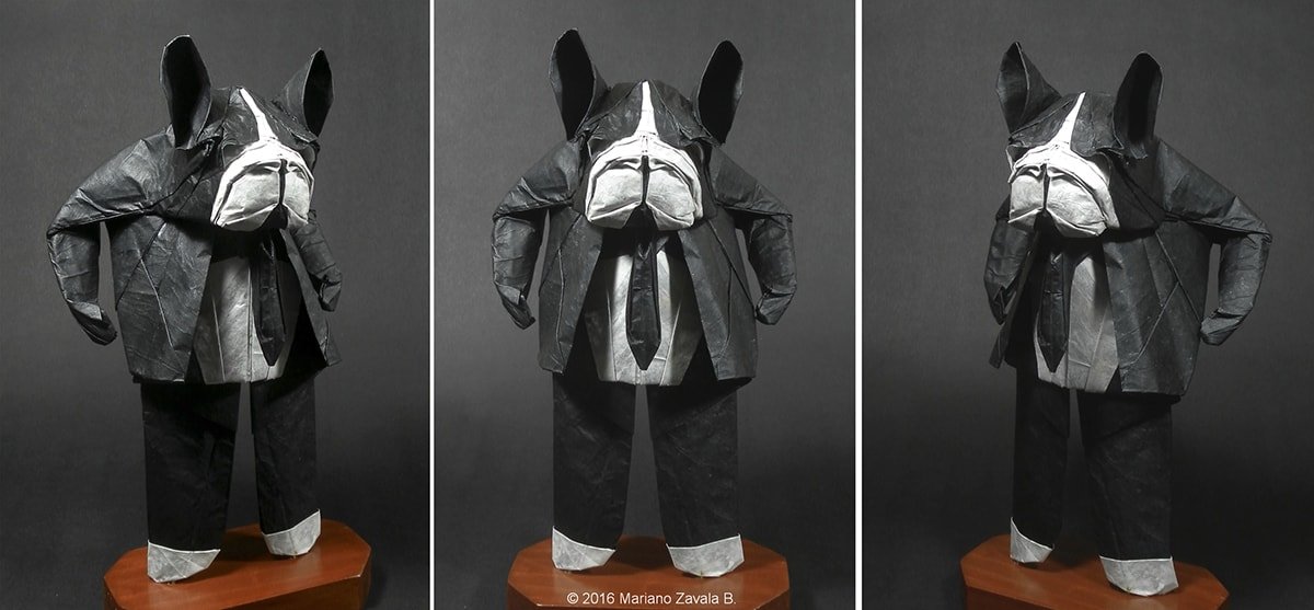 Mr. Boston Terrier by Mariano Zavala B.