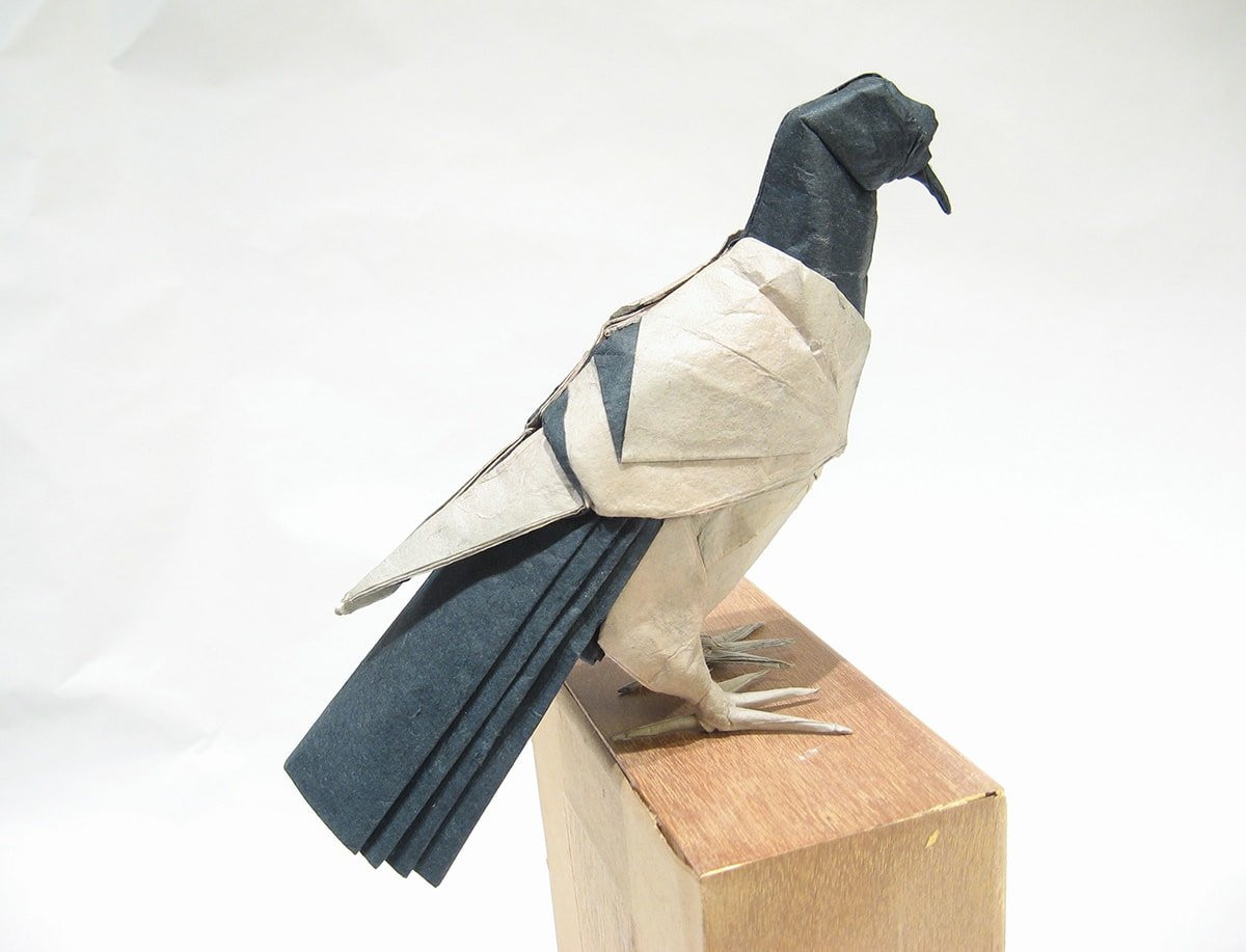 Blue Bar Pigeon by Seth Friedman