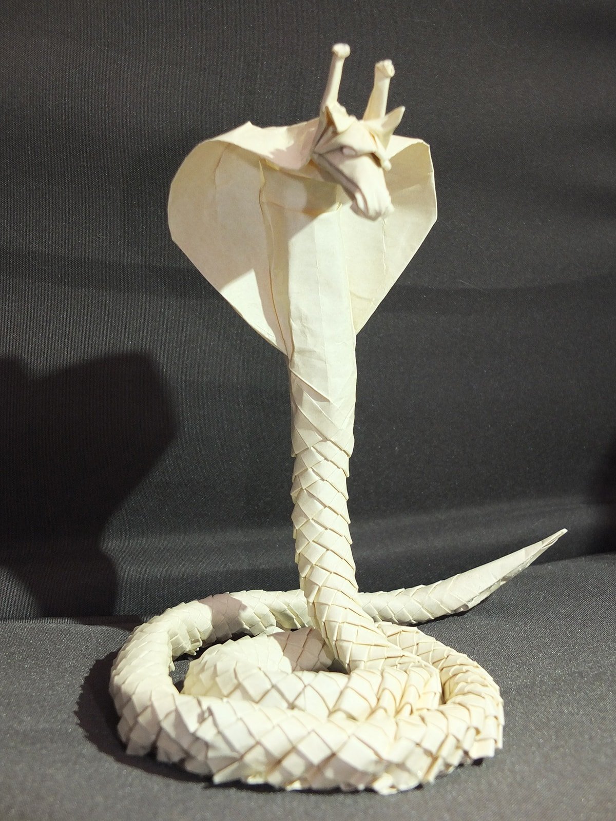 Royal Cobrafe by Eric Vigier