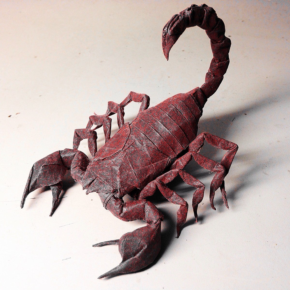Scorpion by Kota Imai (Scorpio)
