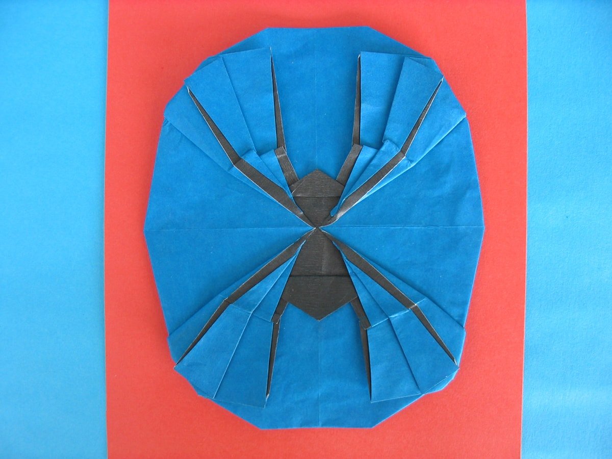 Spiderman Logo by Quentin Trollip