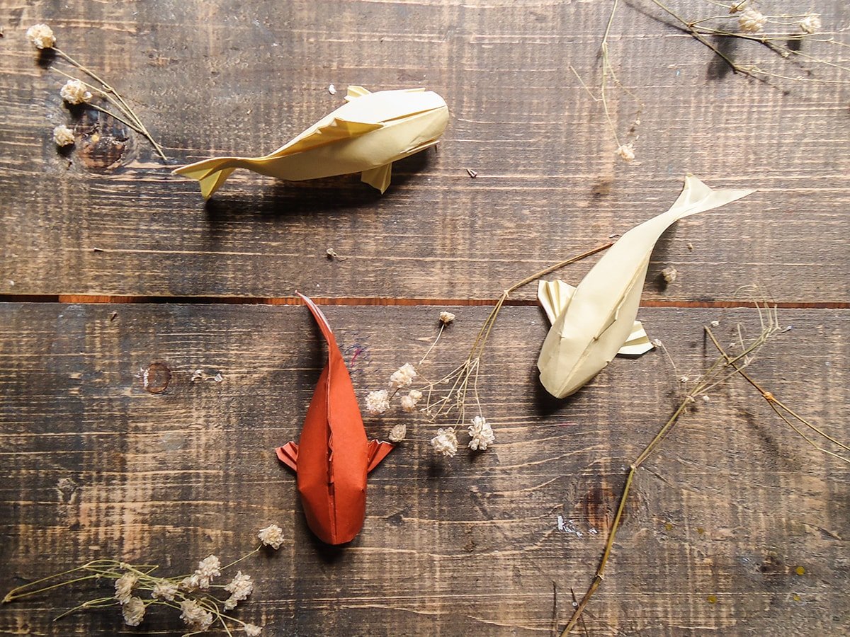 Koi Designed by Sipho Mabona