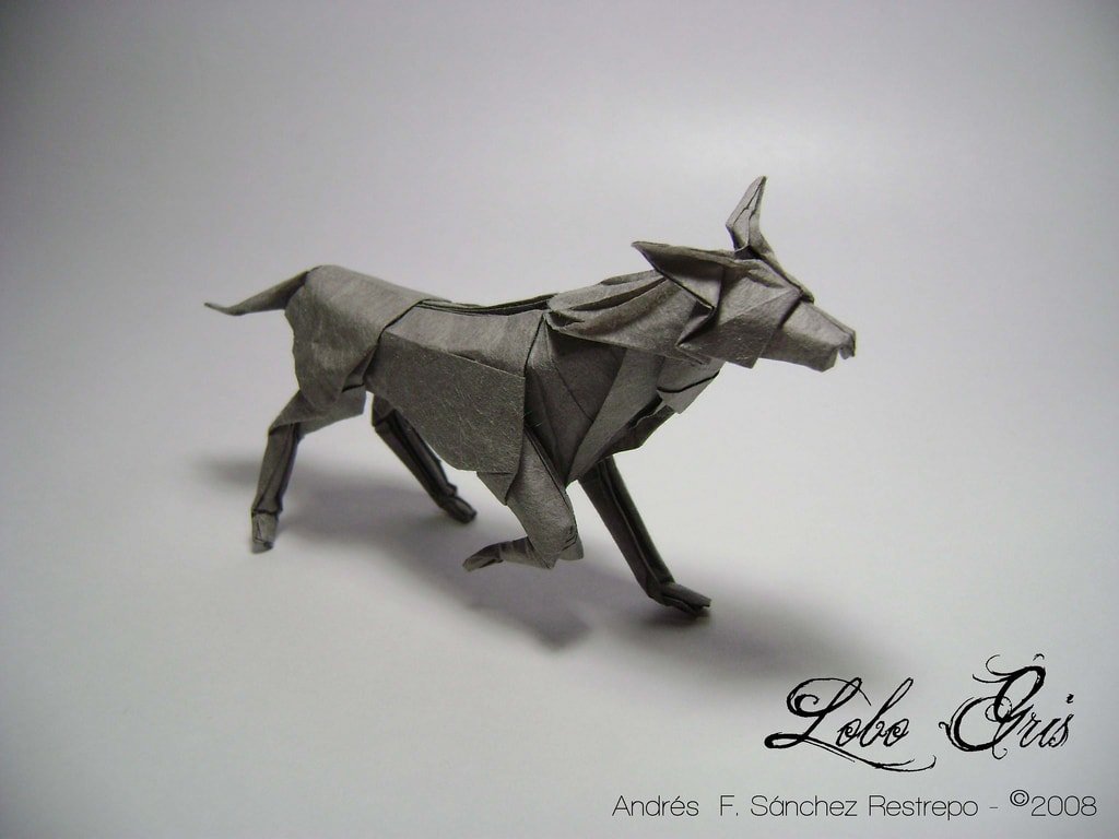 Grey Wolf by Andres F. Sanchez Restrepo