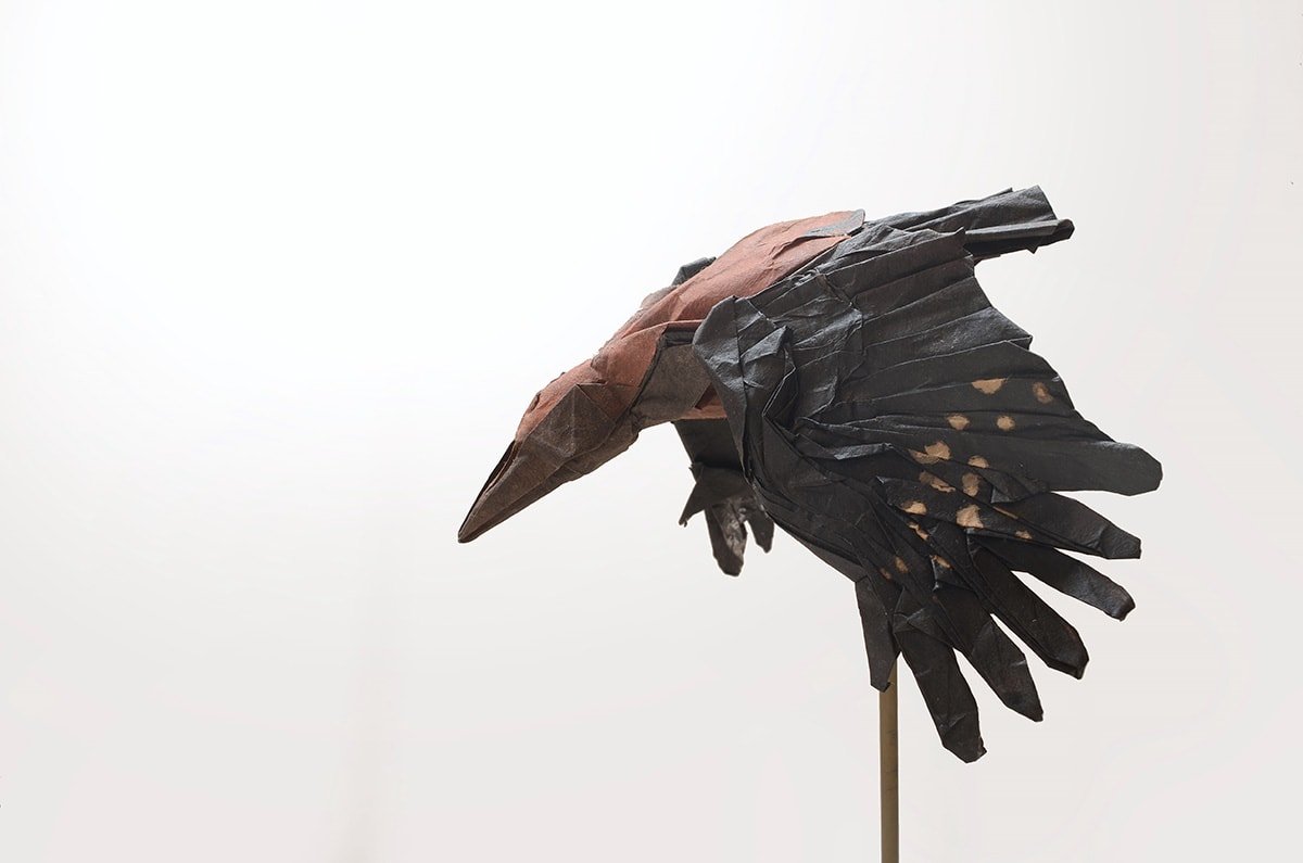 Okinawa Woodpecker by Kei Watanabe