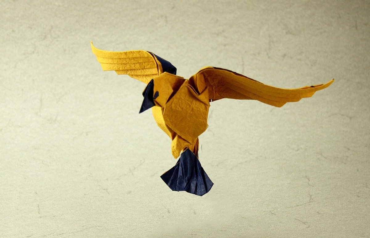 Yellow Flying Bird by Terry Nicolas