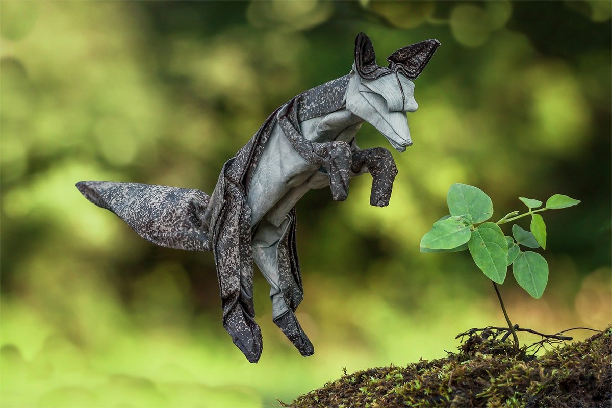 Arctic Fox in the Wild