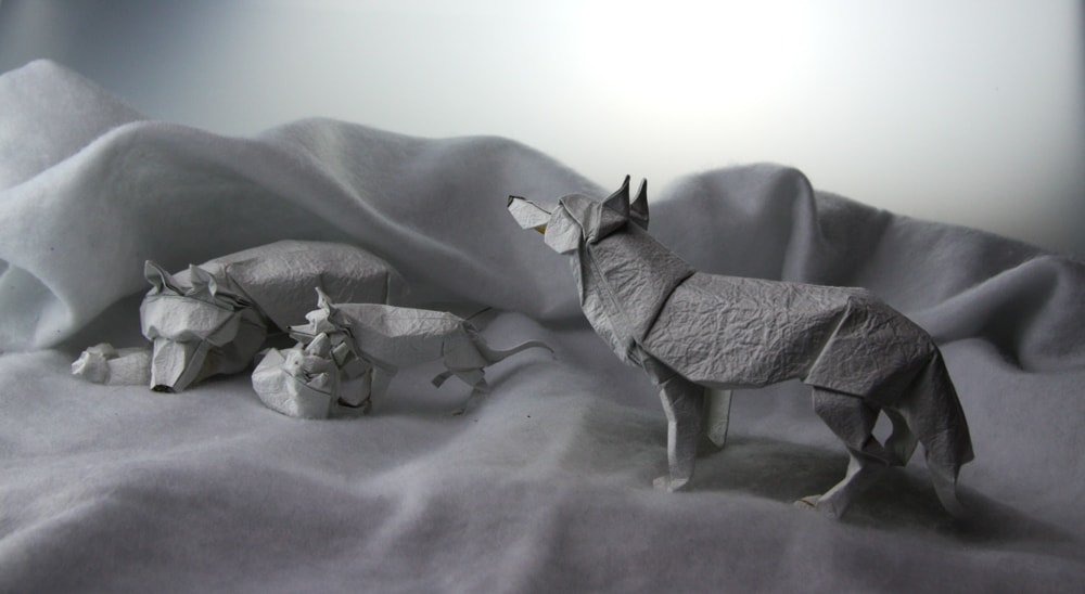 Arctic Wolf Family by Shuki Kato and Terry Nicolas