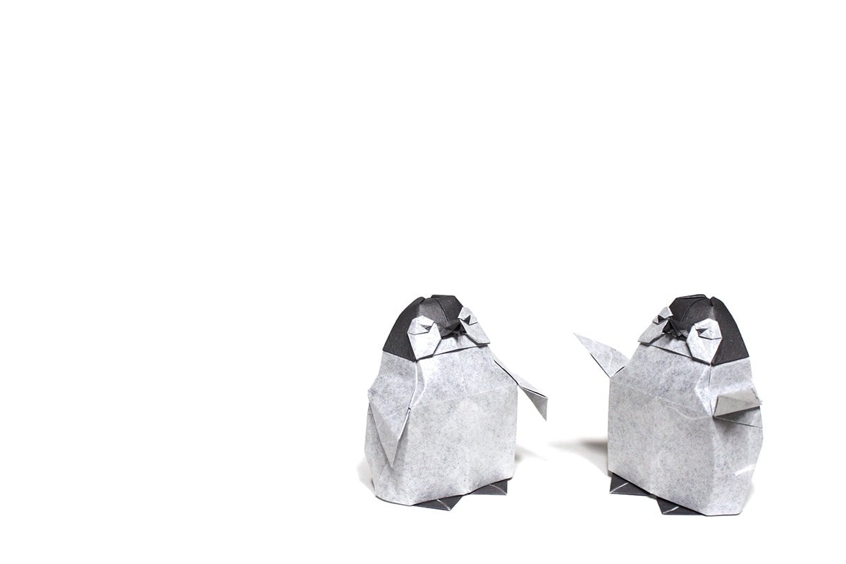 Baby Penguins by Yoo Tae Yong