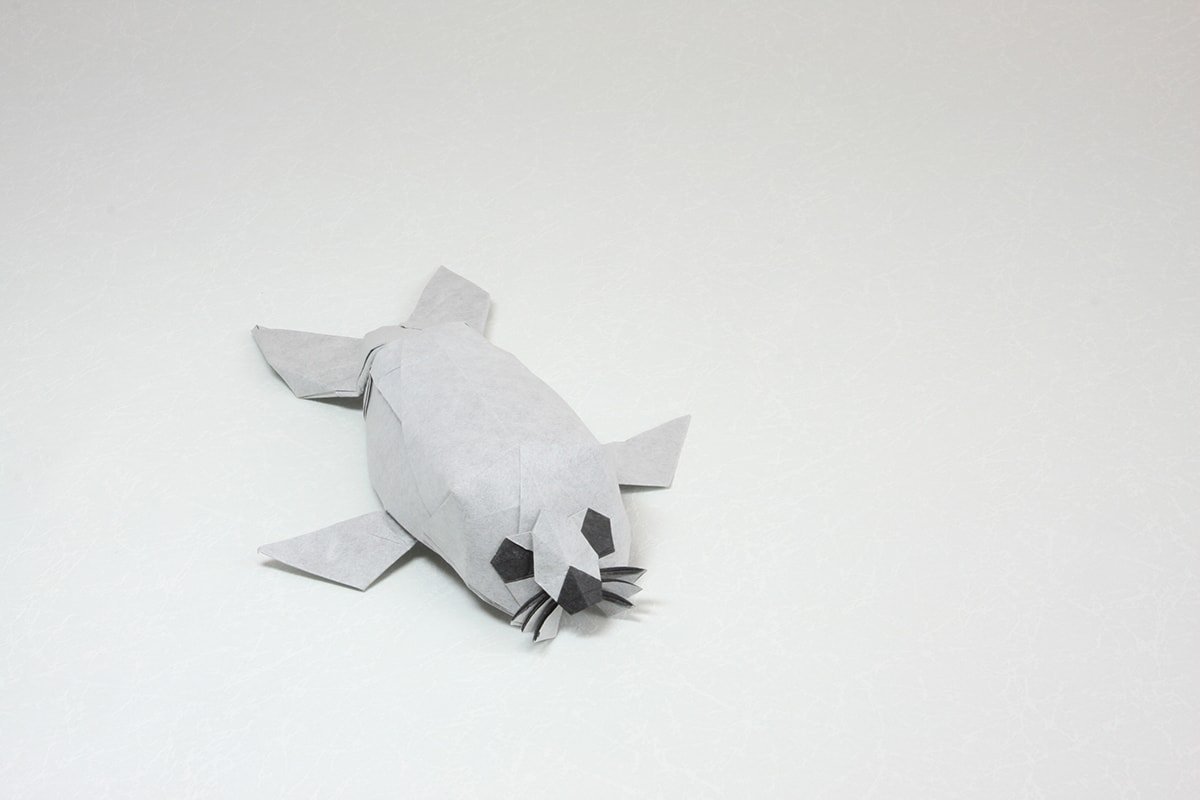 Harp Seal Pup by Quentin Trollip