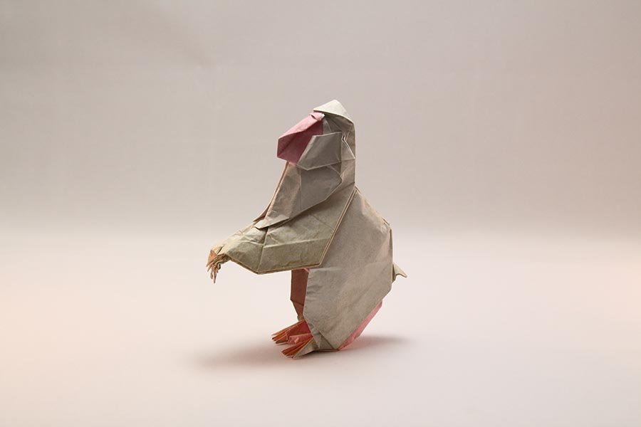 Japanese Macaque by Fumiaki Kawahata