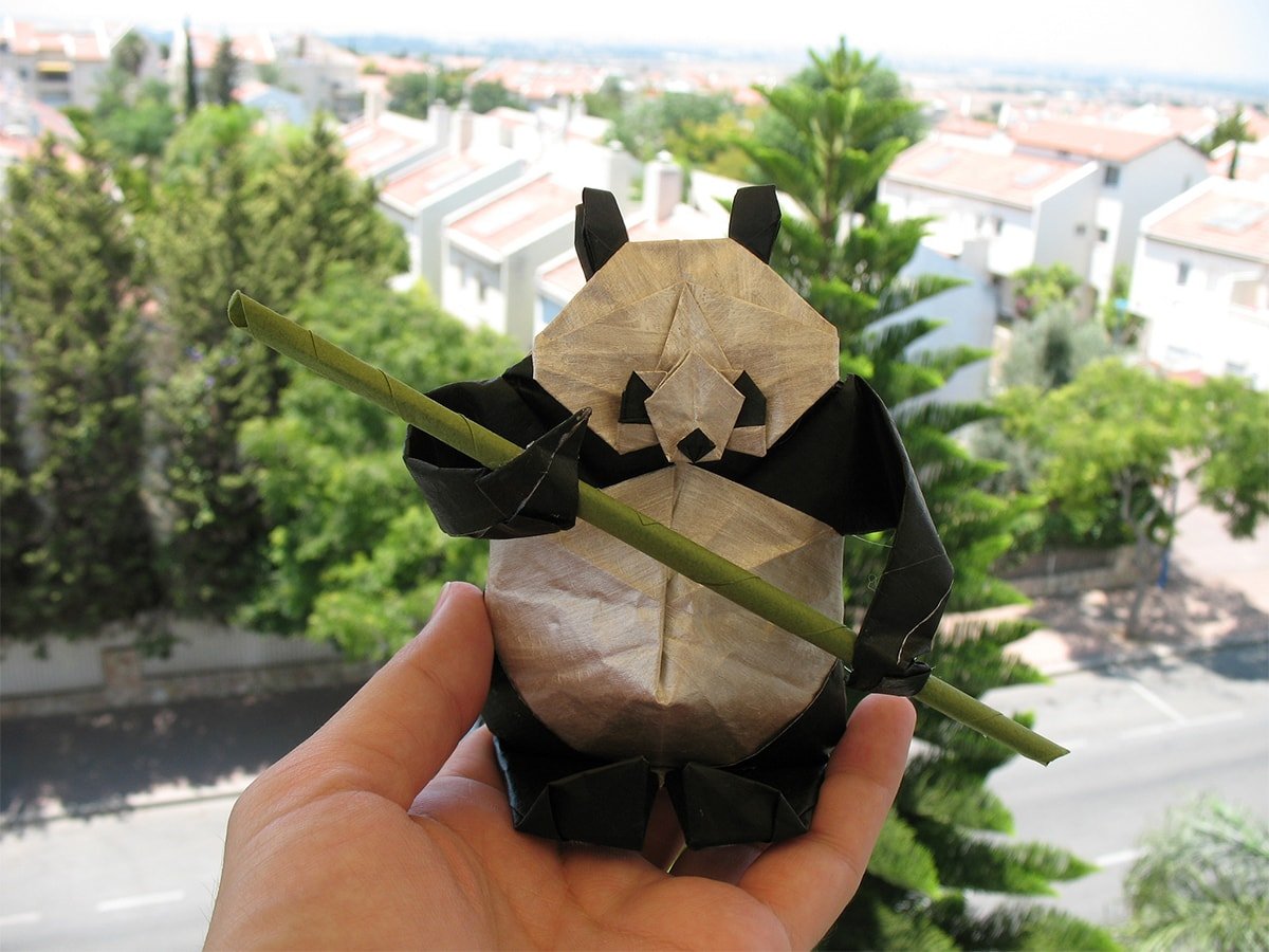 Kung Fu Panda by Quentin Trollip