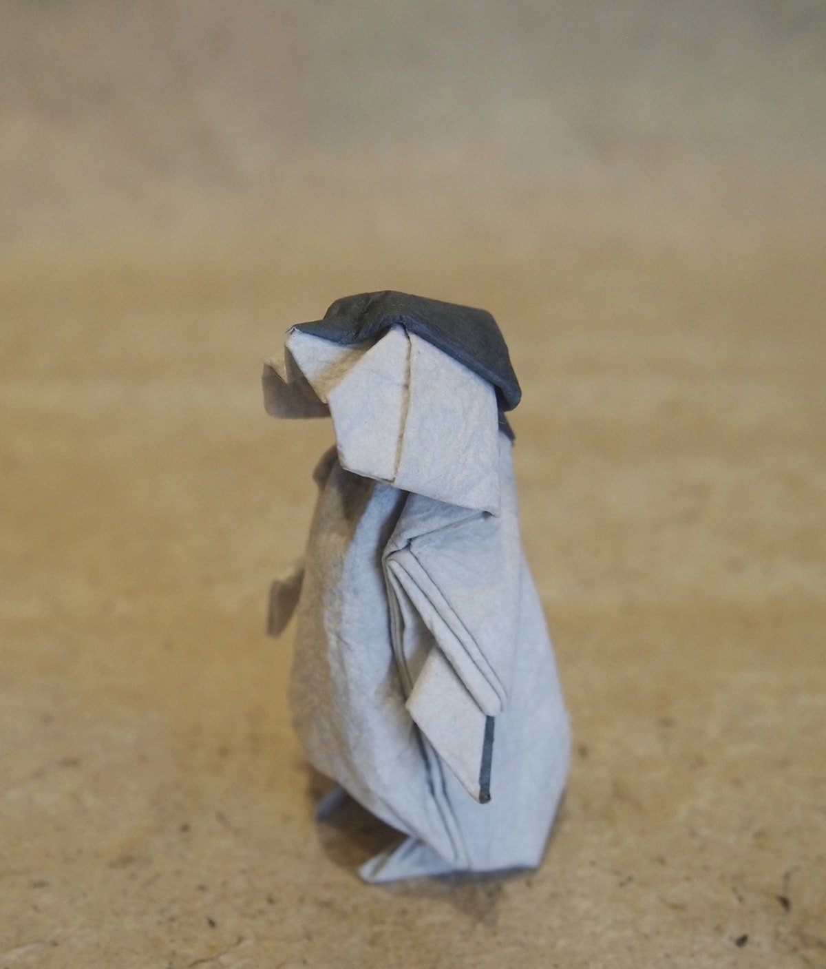 Penguin Chick by Satoshi Kamiya