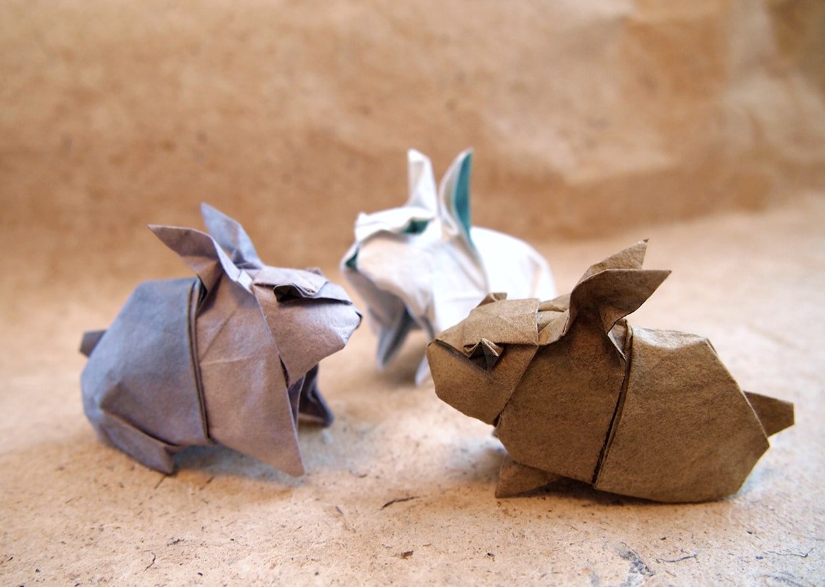 Rabbits by Hiroaki Kobayashi