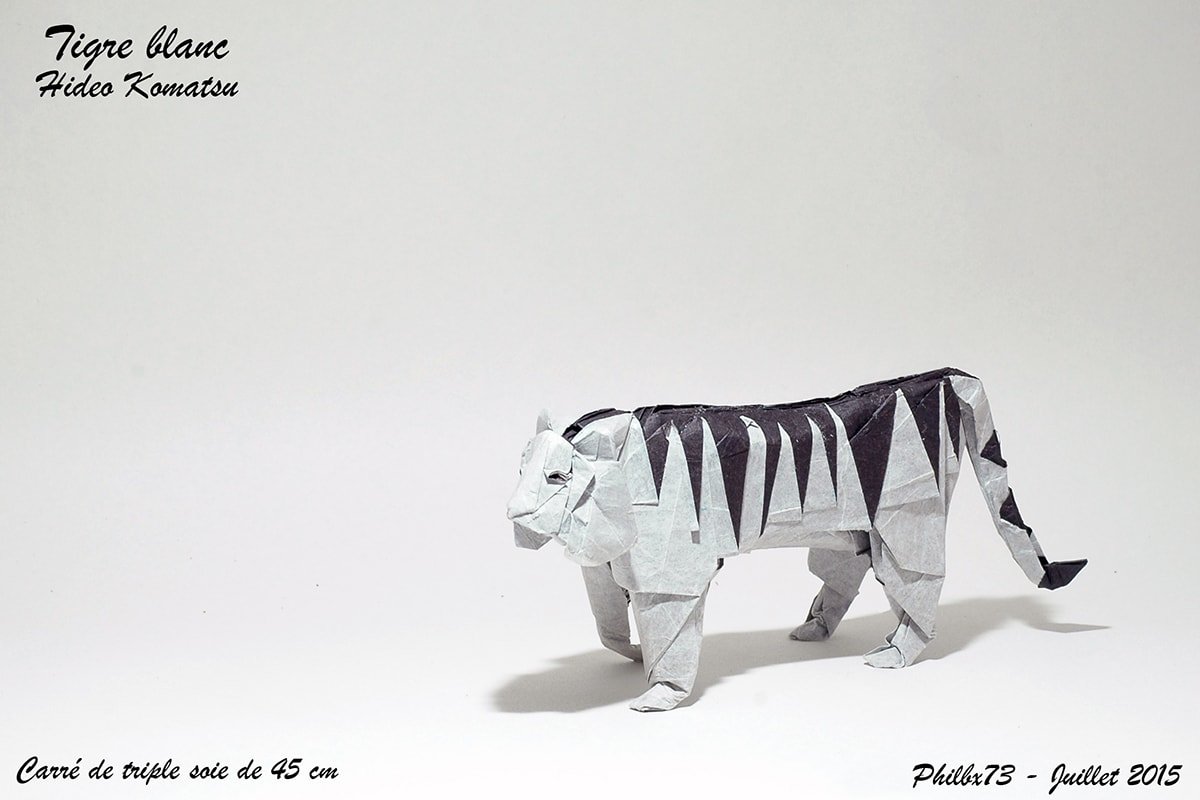 Black and White Tiger