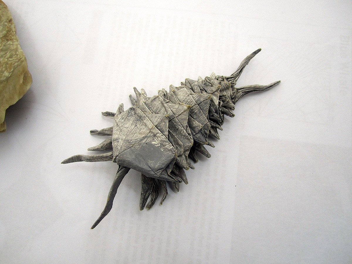 Origami Trilobite