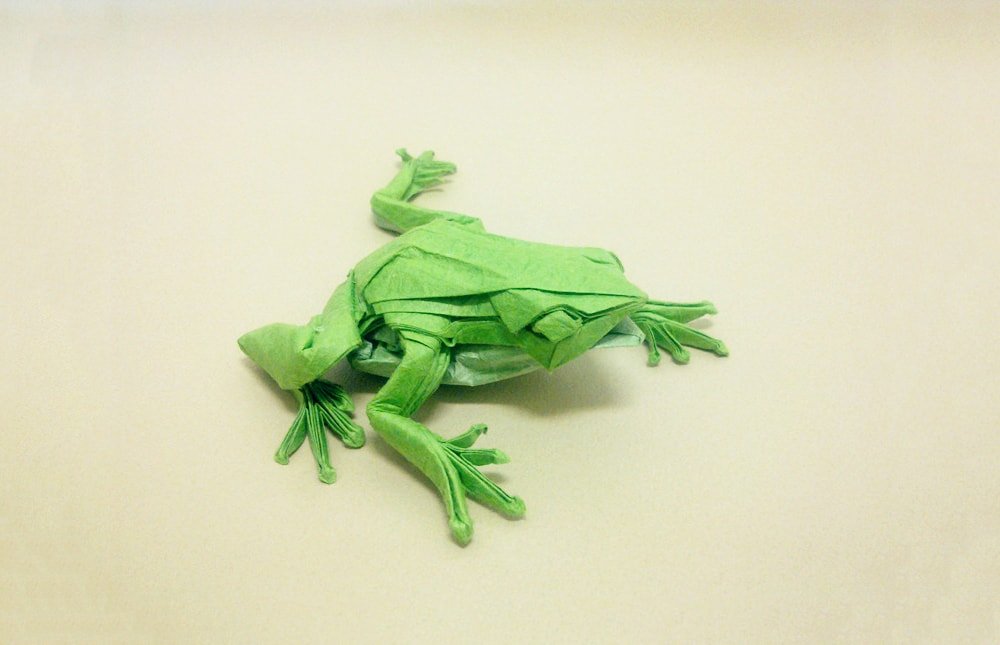 Frog