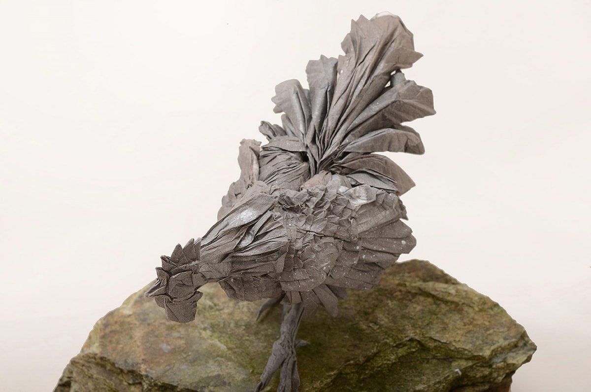 Kei Watanabe's Rooster