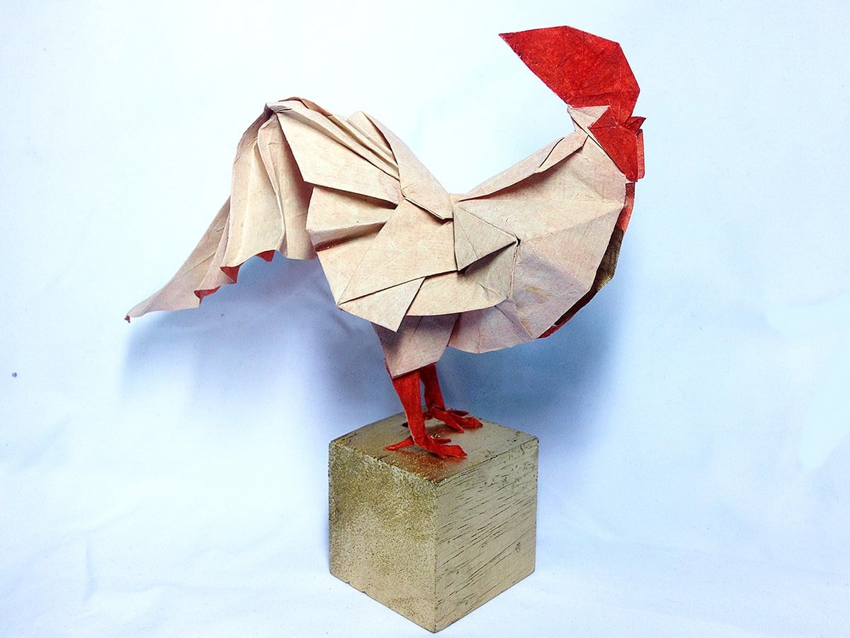 Kyohei Katsuta Rooster