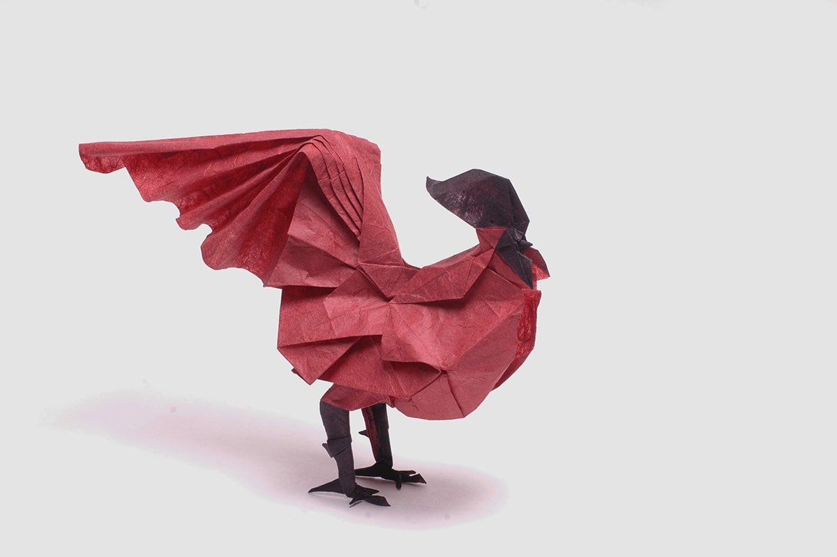 Kyohei Katsuta Rooster