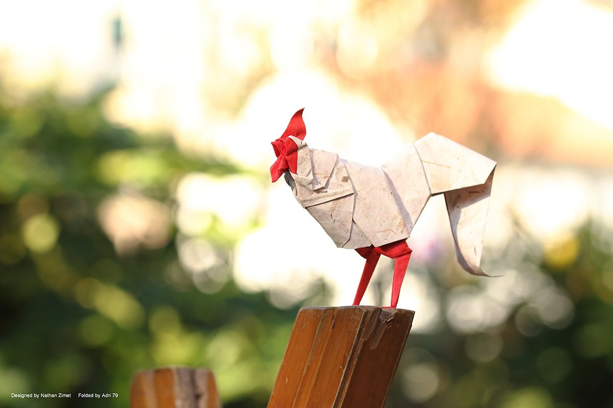 Rooster by Nathan Zimet