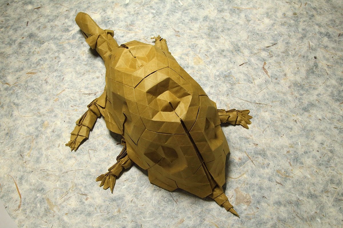 Origami Turtle