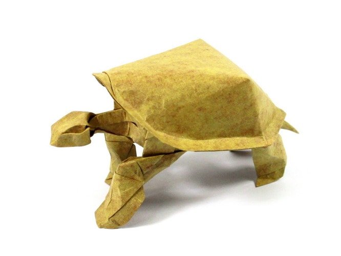 Tortoise