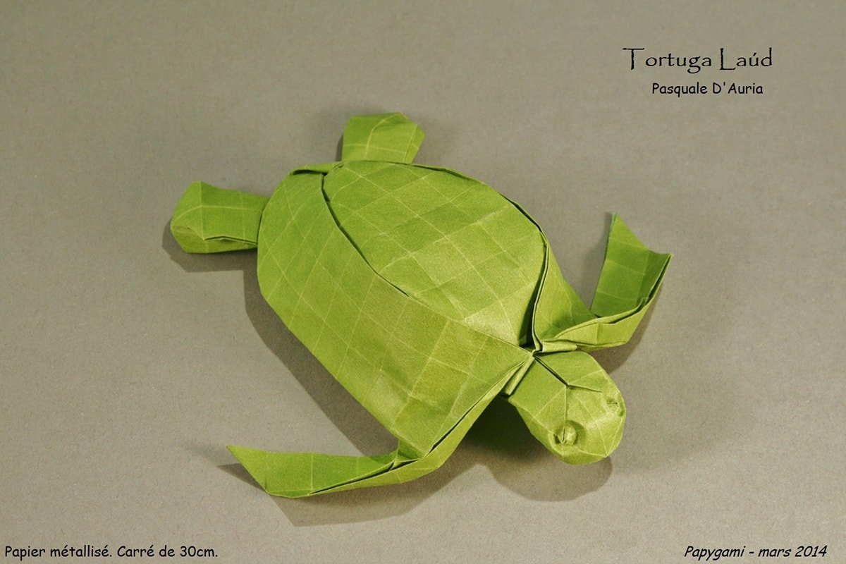 Leatherback Sea Turtle