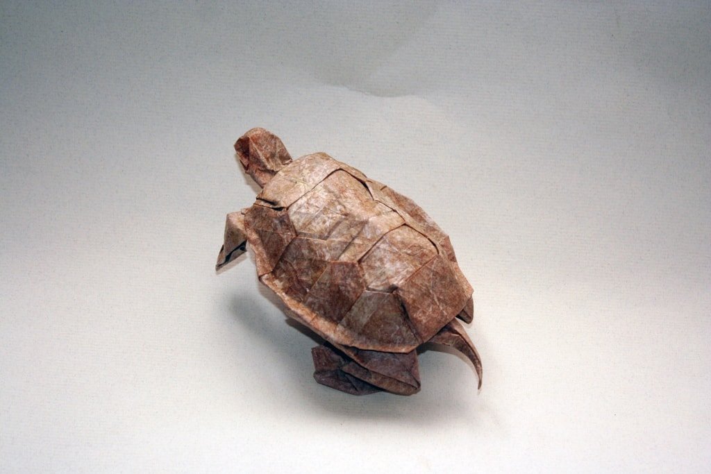 Turtle