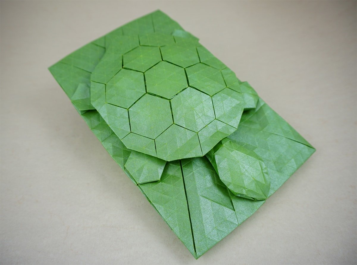 Turtle Tessellation
