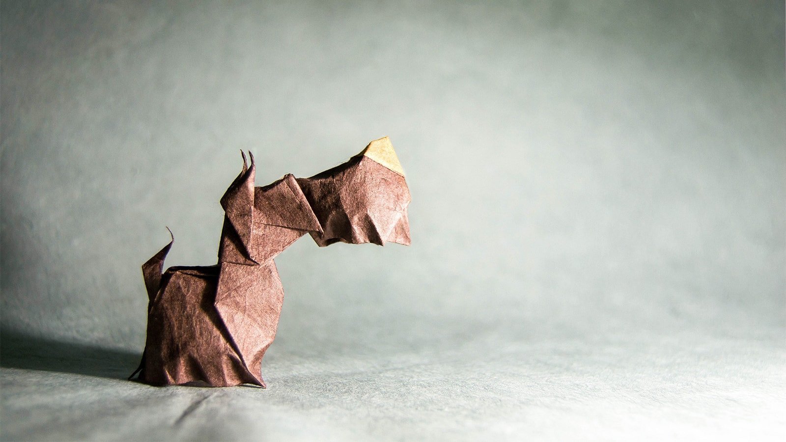 Origami Dogs
