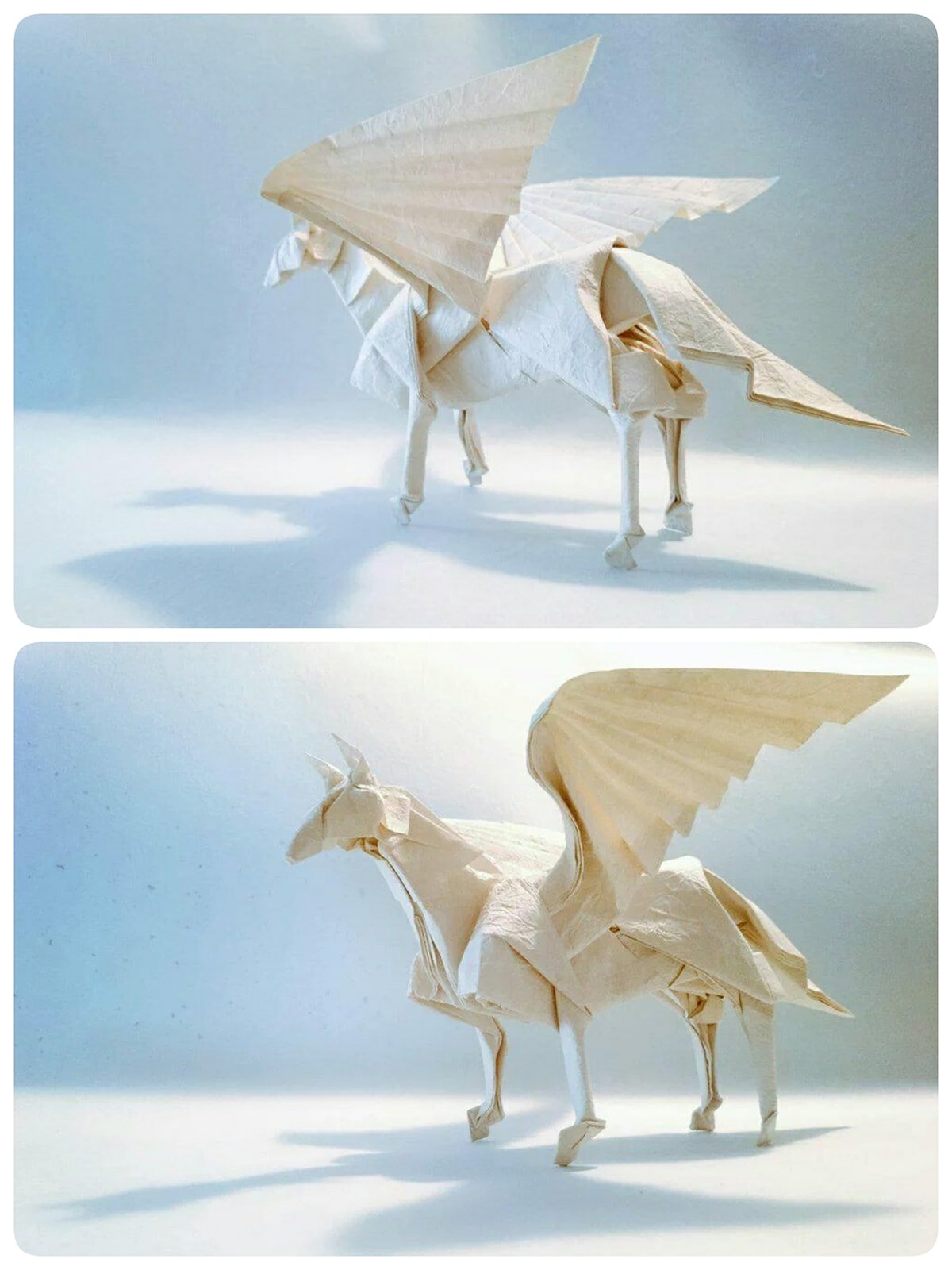 Satoshi Kamiya's Pegasus