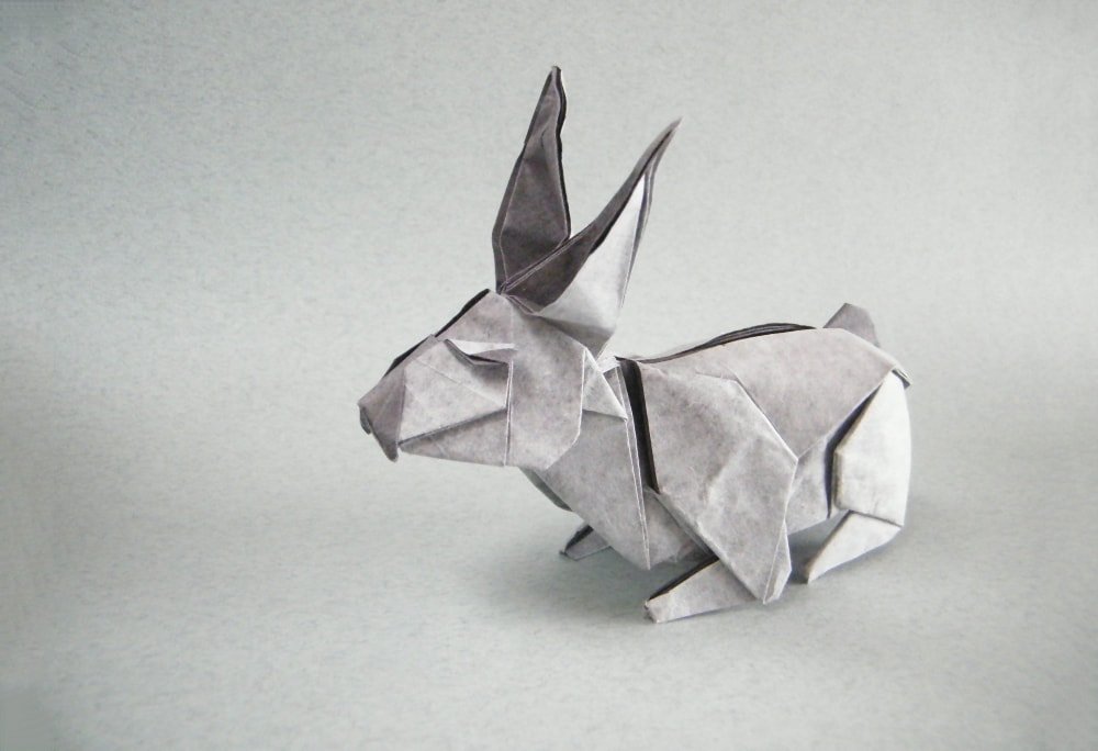 Rabbit by Fernando Castellanos