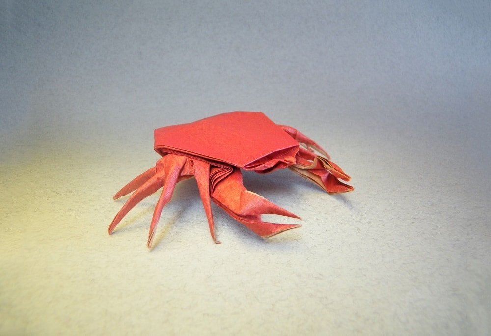 Crab by Fernando Castellanos