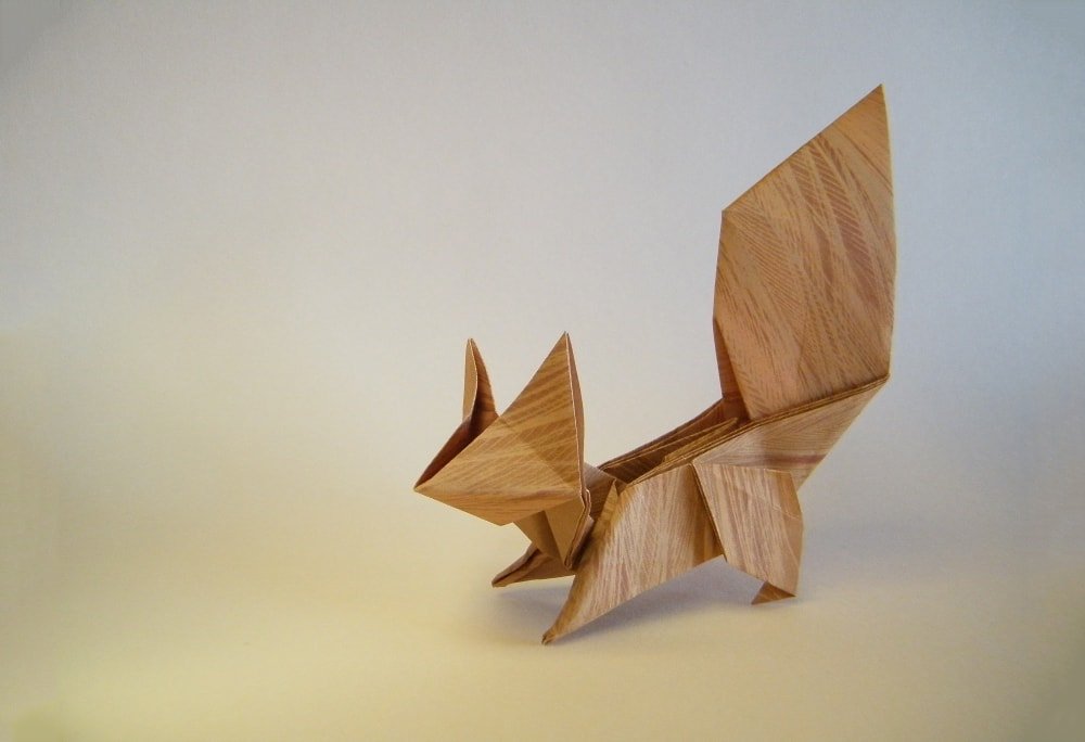 Squirrel by Oriol Esteve