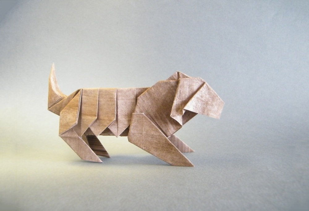 Tiger by Oriol Esteve