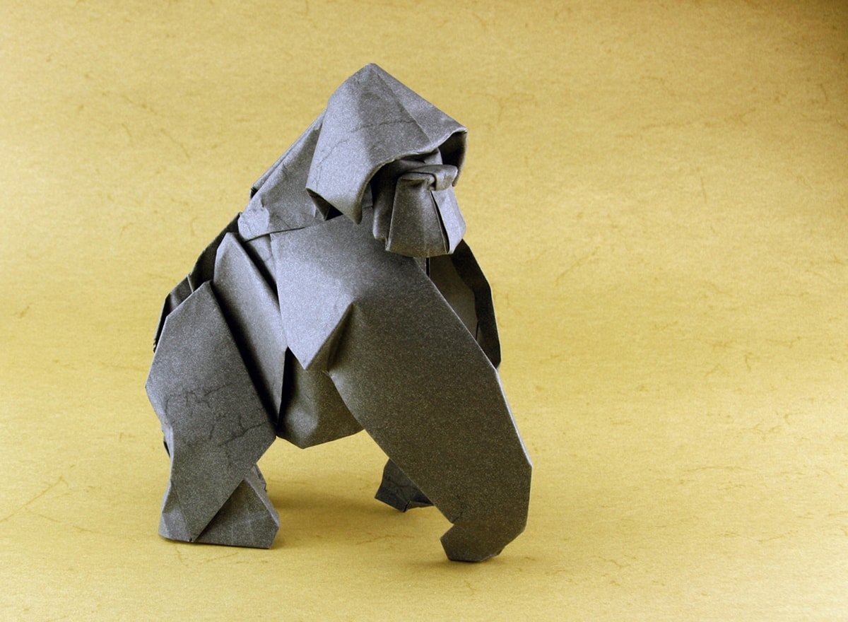 Gorilla by Nicolas Terry