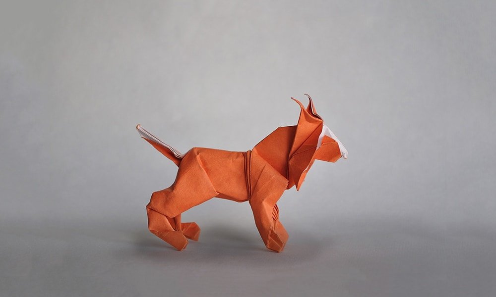 Lynx by Richard Galindo