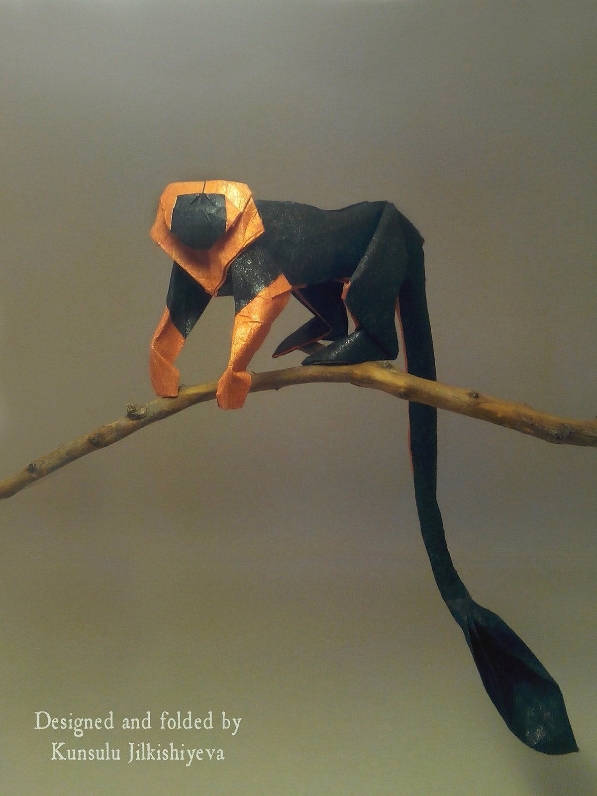 Lionhead Tamarin by Kunsulu