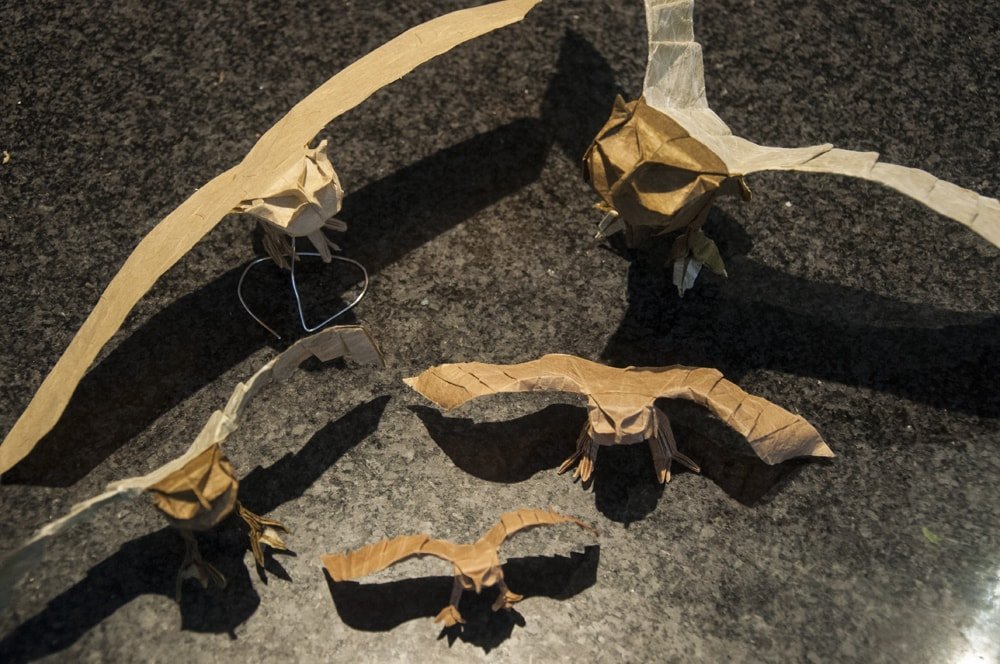 Night Hunter by Robert J. Lang