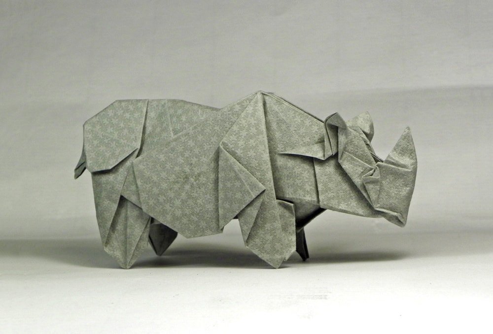 Rhinoceros by Roman Diaz