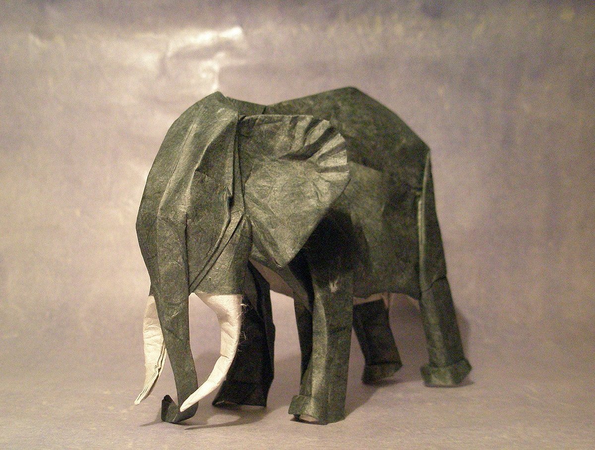 Elephant by Artur Biernacki