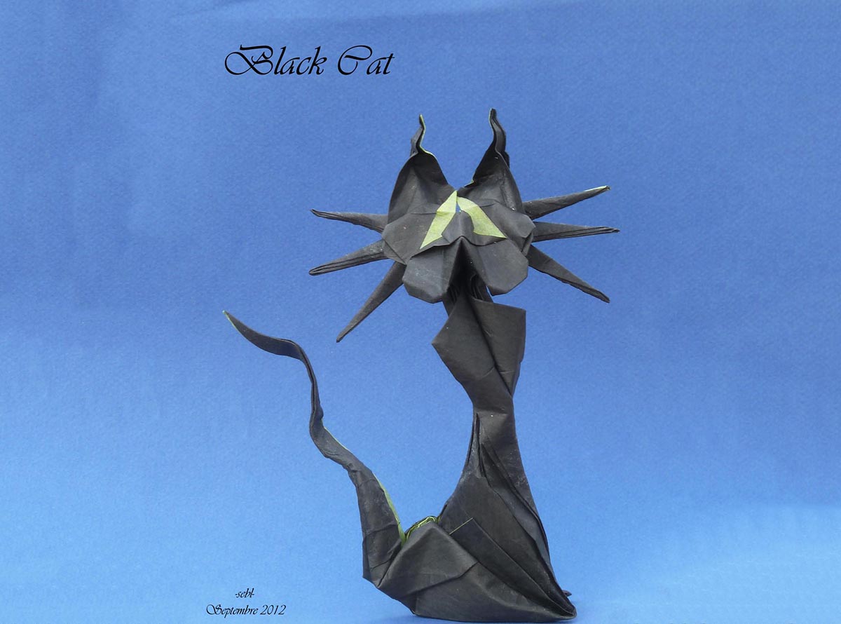 Black Cat by Sebastien Limet