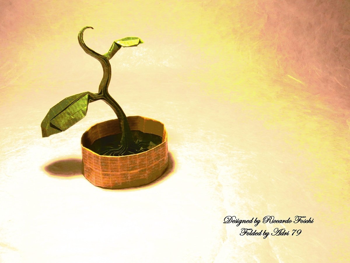 Sprout by Riccardo Foschi