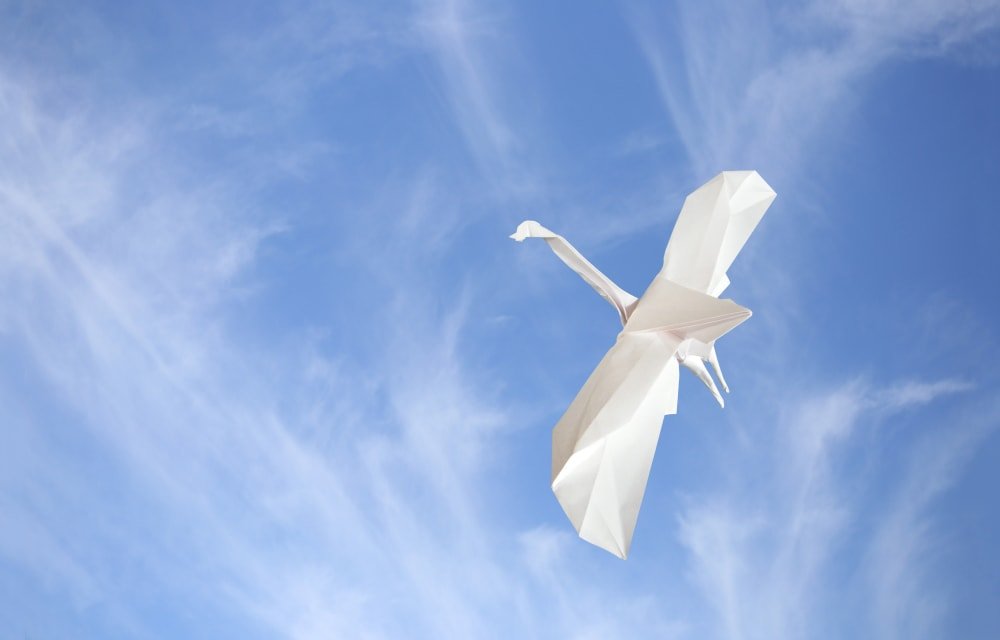 Crane in Flight - Anade en Vuelo - Choi Dong Gyu
