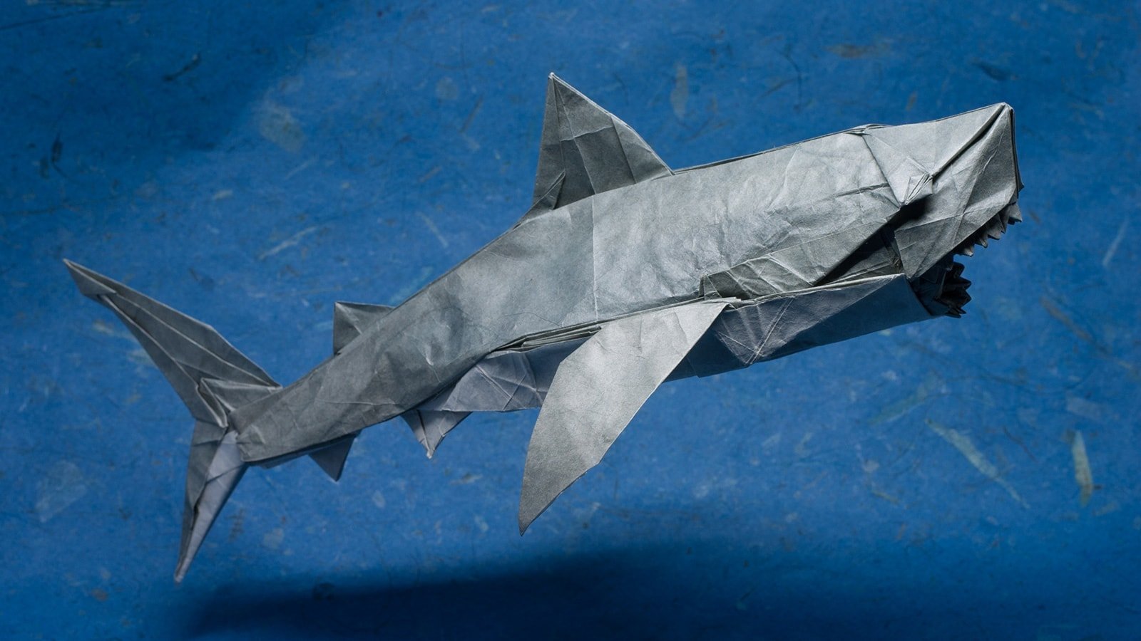 Origami Sharks for Shark Awareness Day