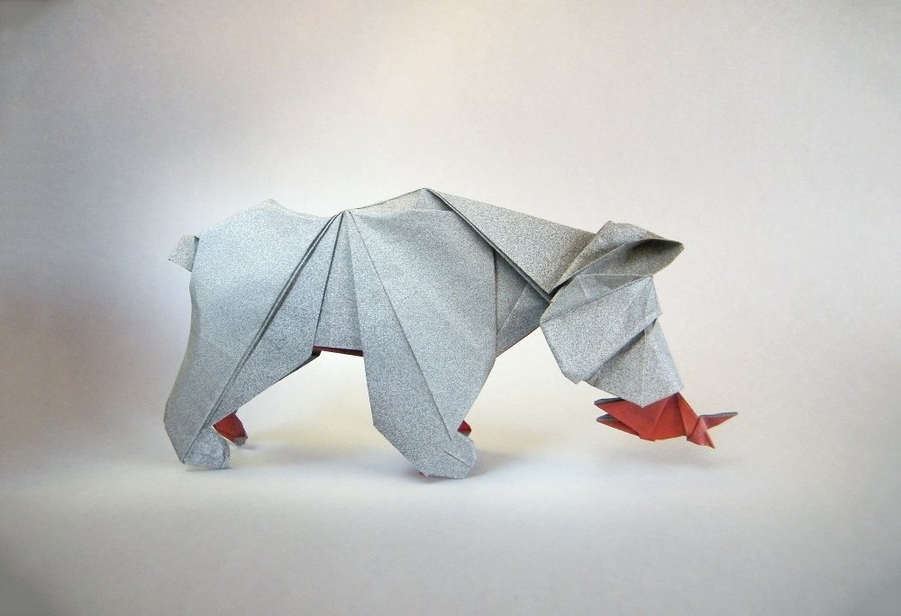 Oso Le Mio - Patrício Kunz